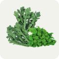 Остальные овощные культуры Остальные овощные культуры